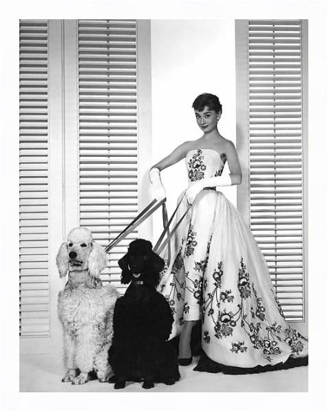 Постер Хепберн Одри 84 с типом исполнения На холсте в раме в багетной раме 221-03