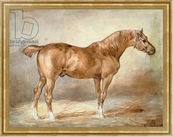 Постер A docked chestnut horse с типом исполнения На холсте в раме в багетной раме NA033.1.051