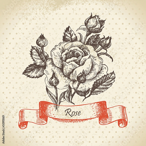 Постер Иллюстрация с розой и бутонами с типом исполнения На холсте без рамы