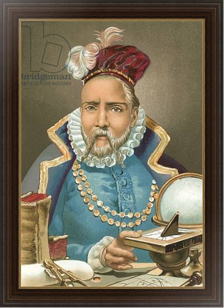 Постер Tycho Brahe с типом исполнения На холсте в раме в багетной раме 1.023.151