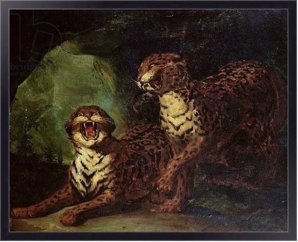 Постер Two Leopards, c. 1820 с типом исполнения На холсте в раме в багетной раме 221-01