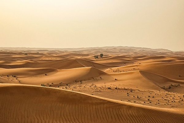 Постер Пески пустыни 1 с типом исполнения На холсте без рамы