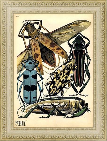 Постер Insects by E. A. Seguy №14 с типом исполнения Акварель в раме в багетной раме 484.M48.725