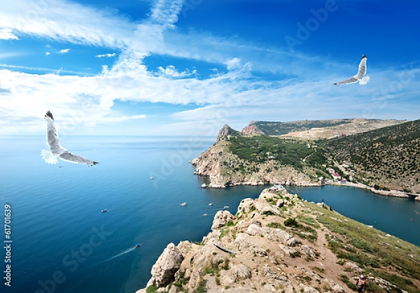 Постер Крым, чайки над морем с типом исполнения На холсте без рамы