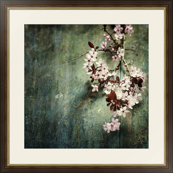Постер Spring Cherry blossoms с типом исполнения Под стеклом в багетной раме 1.023.036