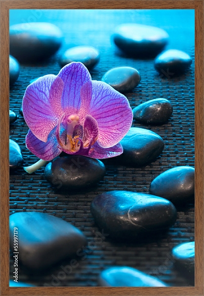 Постер Орхидея и камни 4 с типом исполнения На холсте в раме в багетной раме 1727.4310