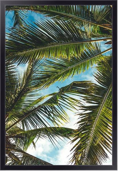 Постер Небо сквозь пальмовые листья с типом исполнения На холсте в раме в багетной раме 221-01