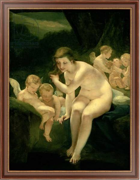 Постер Venus Bathing or Innocence с типом исполнения На холсте в раме в багетной раме 35-M719P-83