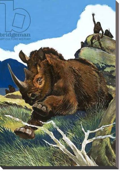 Постер Wonders of Nature: Ancestor of the Rhinoceros с типом исполнения На холсте без рамы