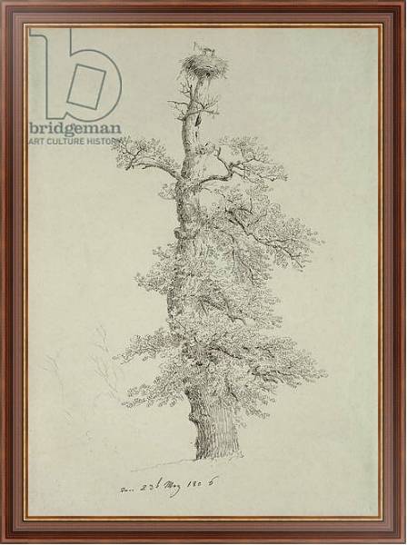 Постер Ancient Oak Tree with a Stork's Nest, 23rd May 1806 с типом исполнения На холсте в раме в багетной раме 35-M719P-83