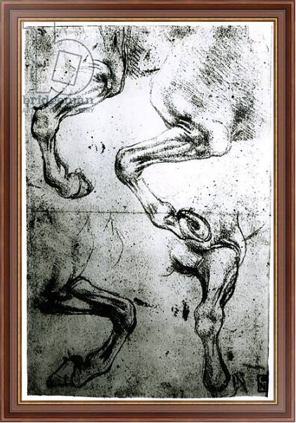 Постер Studies of Horses legs с типом исполнения На холсте в раме в багетной раме 35-M719P-83