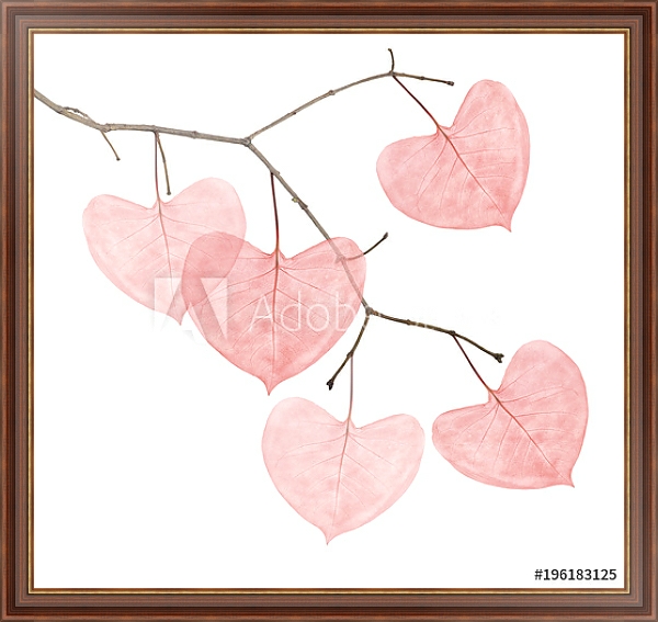 Постер Ветка с розовыми листьями в форме сердца  с типом исполнения На холсте в раме в багетной раме 35-M719P-83