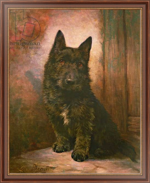 Постер Scottie Puppy с типом исполнения На холсте в раме в багетной раме 35-M719P-83
