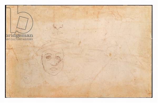 Постер Study of a male head с типом исполнения На холсте в раме в багетной раме 221-03