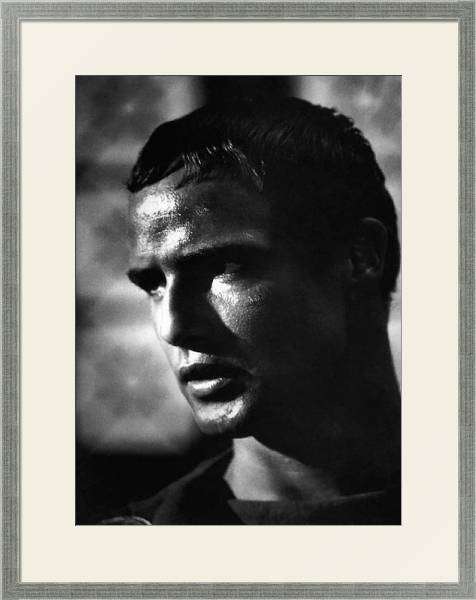 Постер Brando, Marlon (Julius Caesar) с типом исполнения Под стеклом в багетной раме 1727.2510