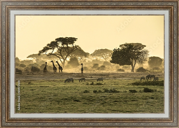 Постер Силуэты жирафов и зебр в саванне с типом исполнения На холсте в раме в багетной раме 595.M52.330