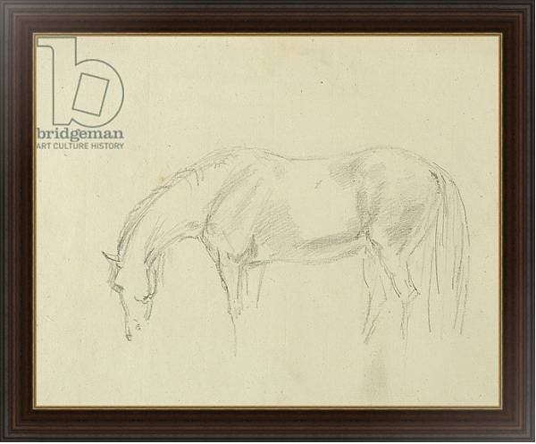 Постер A horse grazing с типом исполнения На холсте в раме в багетной раме 1.023.151