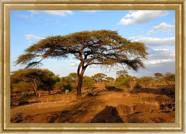 Постер Кения, Африка. Национальный парк с типом исполнения На холсте в раме в багетной раме NA033.1.051
