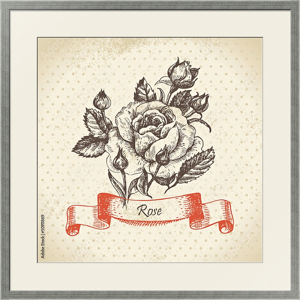 Постер Иллюстрация с розой и бутонами с типом исполнения Под стеклом в багетной раме 1727.2510