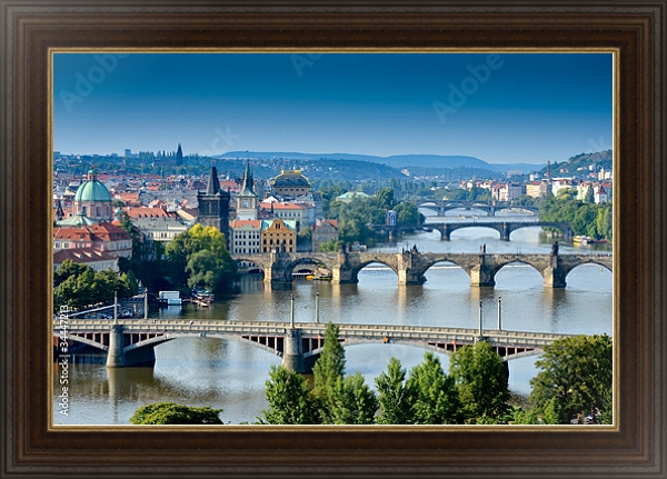 Постер Мосты Праги с типом исполнения На холсте в раме в багетной раме 1.023.151