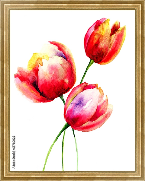 Постер Акварель. Красные тюльпаны с типом исполнения На холсте в раме в багетной раме NA033.1.051