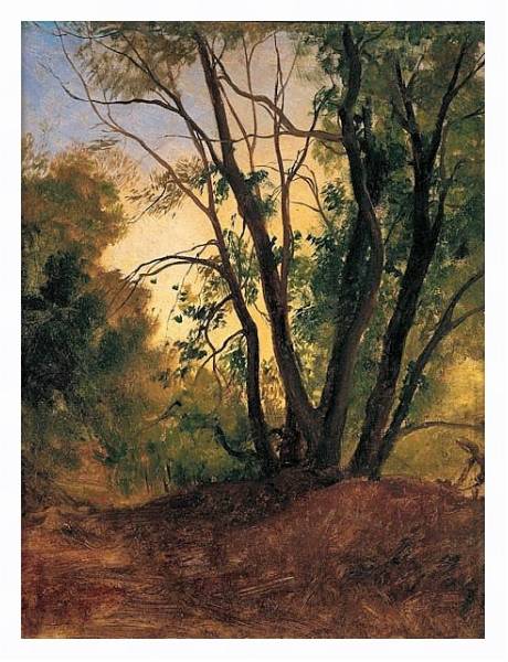 Постер Тропинка и деревья с типом исполнения На холсте в раме в багетной раме 221-03