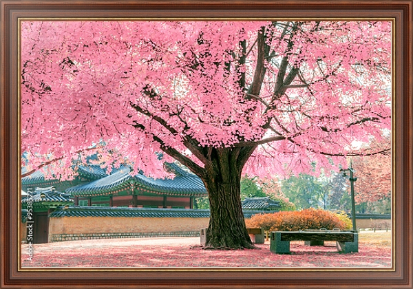 Постер Розовое дерево, Япония с типом исполнения На холсте в раме в багетной раме 35-M719P-83