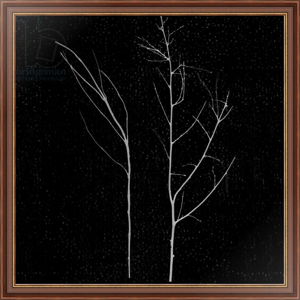 Постер territori innevati - due alberi notte, 2012, photographic contamination с типом исполнения На холсте в раме в багетной раме 35-M719P-83