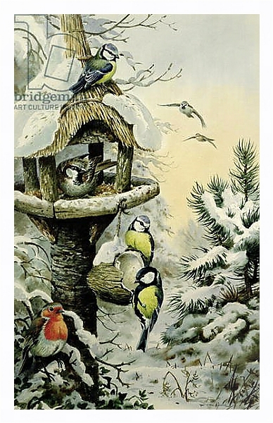 Постер Winter Bird Table with Blue Tits, Great Tits, House Sparrows and a Robin с типом исполнения На холсте в раме в багетной раме 221-03