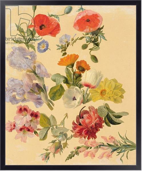 Постер Studies of Summer Flowers с типом исполнения На холсте в раме в багетной раме 221-01