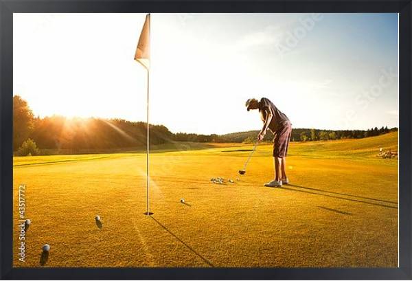 Постер Тренировка игрока в гольф с типом исполнения На холсте в раме в багетной раме 1727.8010