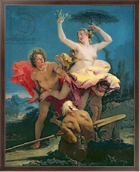 Постер Apollo and Daphne, c.1743-44 с типом исполнения На холсте в раме в багетной раме 221-02