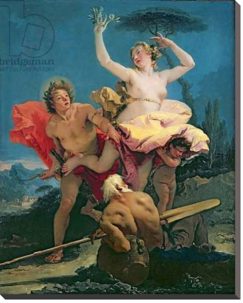 Постер Apollo and Daphne, c.1743-44 с типом исполнения На холсте без рамы