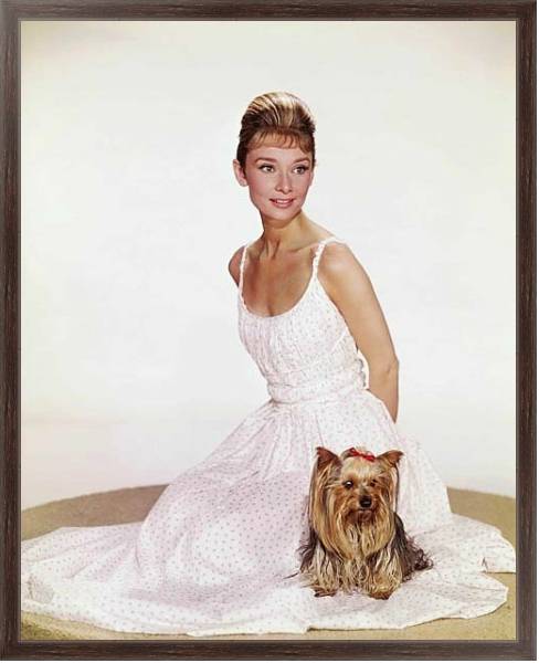 Постер Hepburn, Audrey 5 с типом исполнения На холсте в раме в багетной раме 221-02