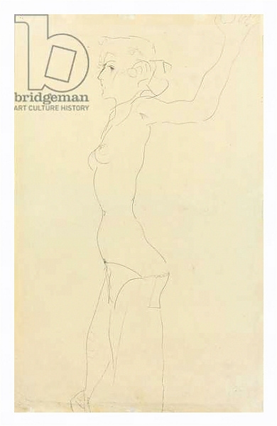 Постер Female Nude; Madchenakt, 1911 1 с типом исполнения На холсте в раме в багетной раме 221-03