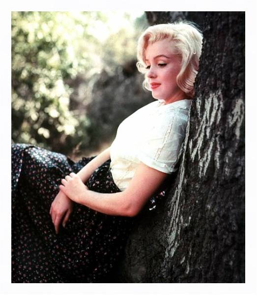 Постер Monroe, Marilyn 104 с типом исполнения На холсте в раме в багетной раме 221-03