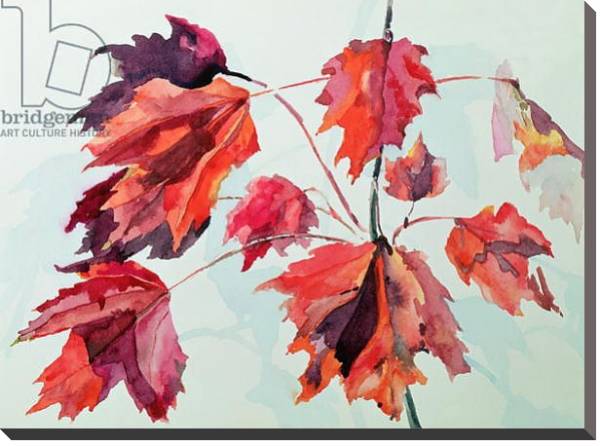 Постер No.24 Autumn Maple Leaves с типом исполнения На холсте без рамы
