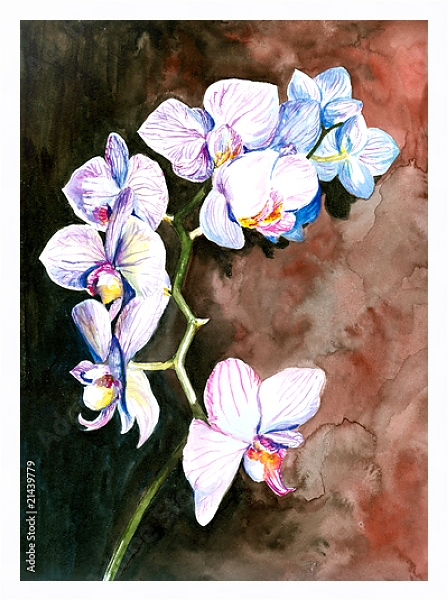 Постер Белая орхидея, акварель с типом исполнения На холсте в раме в багетной раме 221-03