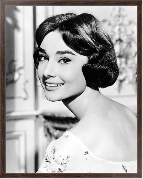 Постер Hepburn, Audrey (Funny Face) 2 с типом исполнения На холсте в раме в багетной раме 221-02