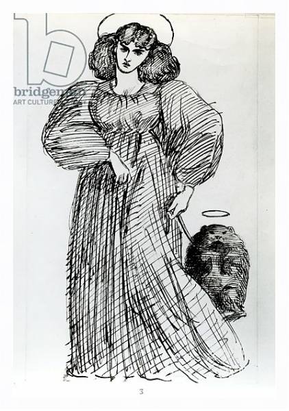 Постер Mrs. Morris and the Wombat, 1869 с типом исполнения На холсте в раме в багетной раме 221-03