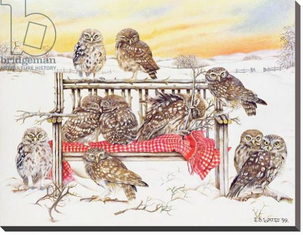 Постер Little Owls on Twig Bench, 1999 с типом исполнения На холсте без рамы