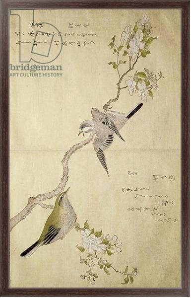 Постер Tit on a bough on the right and a Bush-warbler on a branch on the left с типом исполнения На холсте в раме в багетной раме 221-02