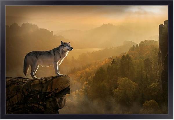 Постер Волк на скале с типом исполнения На холсте в раме в багетной раме 221-01