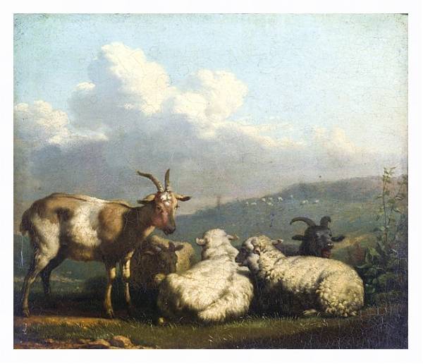 Постер Овцы и козлы с типом исполнения На холсте в раме в багетной раме 221-03