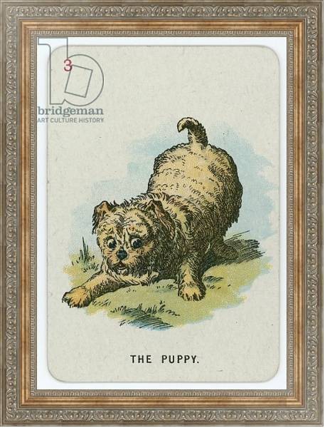 Постер The Puppy 2 с типом исполнения На холсте в раме в багетной раме 484.M48.310