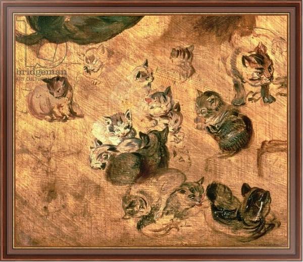 Постер Study of cats, 1616 с типом исполнения На холсте в раме в багетной раме 35-M719P-83