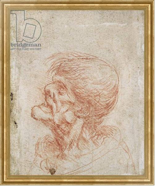 Постер Caricature Head Study of an Old Man, c.1500-05 с типом исполнения На холсте в раме в багетной раме NA033.1.051