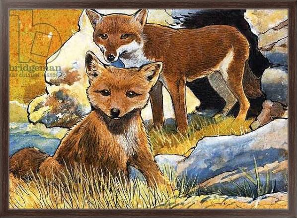 Постер Wind From the North: Facts about Foxes с типом исполнения На холсте в раме в багетной раме 221-02