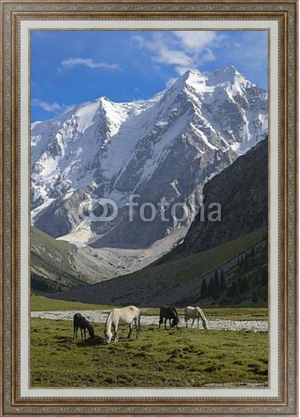 Постер Дикие лошади на солнечной поляне в горах 2 с типом исполнения На холсте в раме в багетной раме 595.M52.330