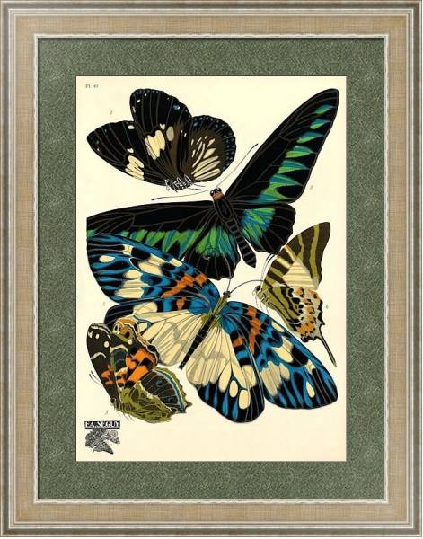 Постер Papillons by E. A. Seguy №2 с типом исполнения Акварель в раме в багетной раме 485.M40.584
